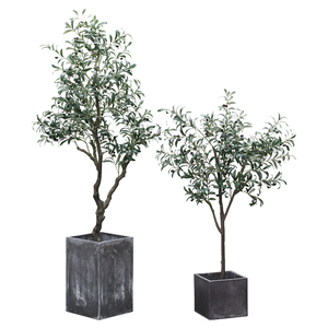 橄榄树室内道具大型落地盆栽